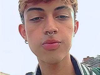 Model profile