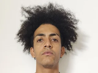Model profile