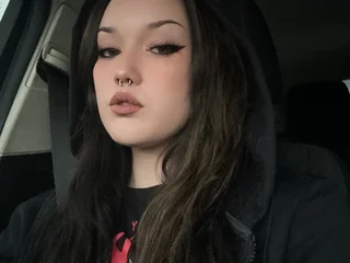 Model profile