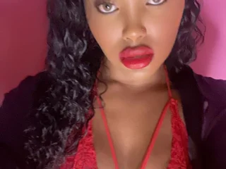 Model profile