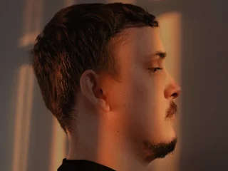 Model profile