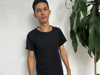Model profile
