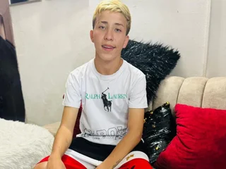 Model profile