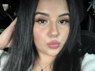 Model profile