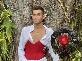 Model profile