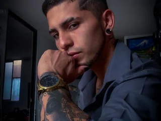 Model profile