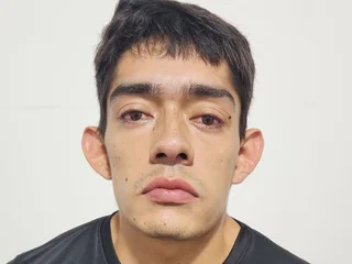 Model profile